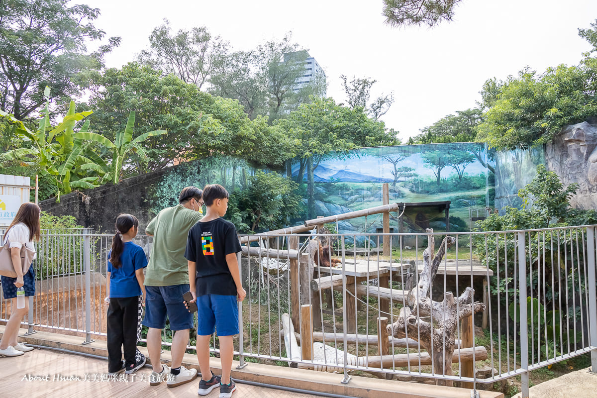 新竹市立動物園小朋友$25 大人$50好好玩近距離觀察動物更有感@About Hsuan美美媽咪親子美食旅遊