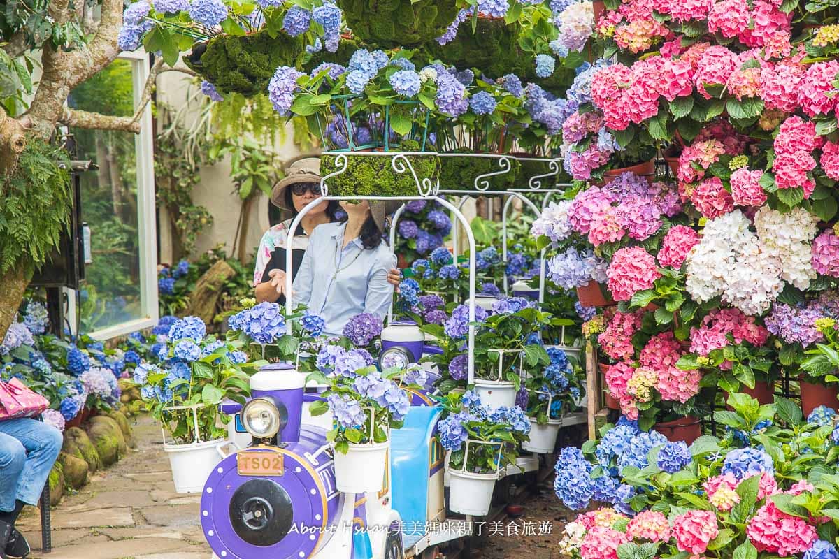 苗栗卓蘭景點 花露休閒農場 全臺灣唯一的繡球花火車 夢幻霜淇淋 快來打卡一波吧!! @About Hsuan美美媽咪親子美食旅遊