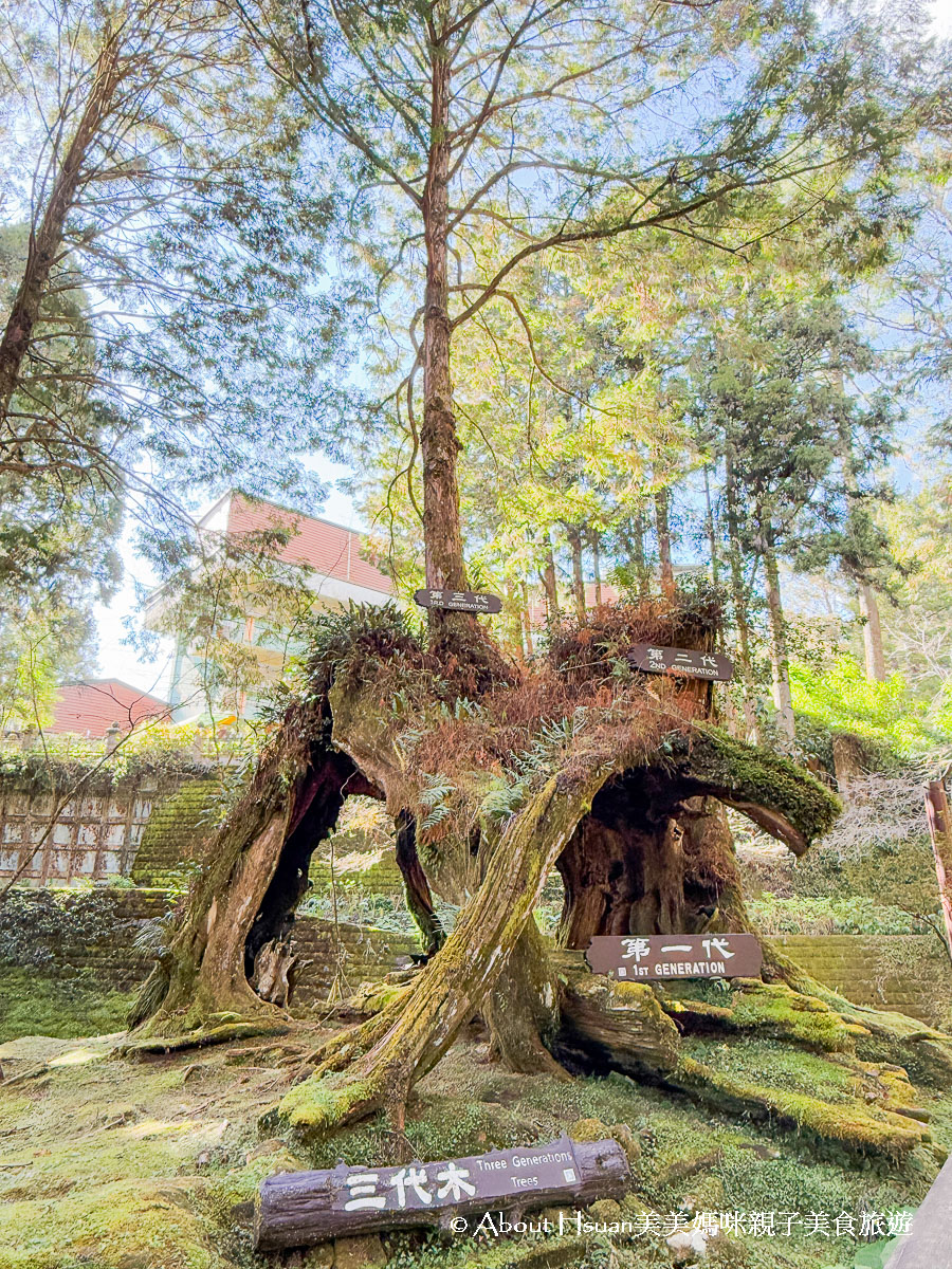 阿里山景點一次網羅包含阿里山國家森林遊樂區、阿里山美食、奮起湖住宿、奮起湖景點、奮起湖美食全部分享@About Hsuan美美媽咪親子美食旅遊