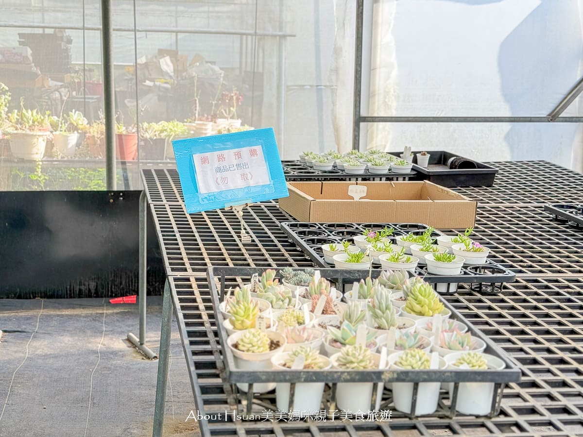 中壢果園採草莓採瓜果買多肉植物 J&#038;W多肉過嶺草莓瓜果農園 600坪高架室內草莓園不怕風吹雨淋 @About Hsuan美美媽咪親子美食旅遊