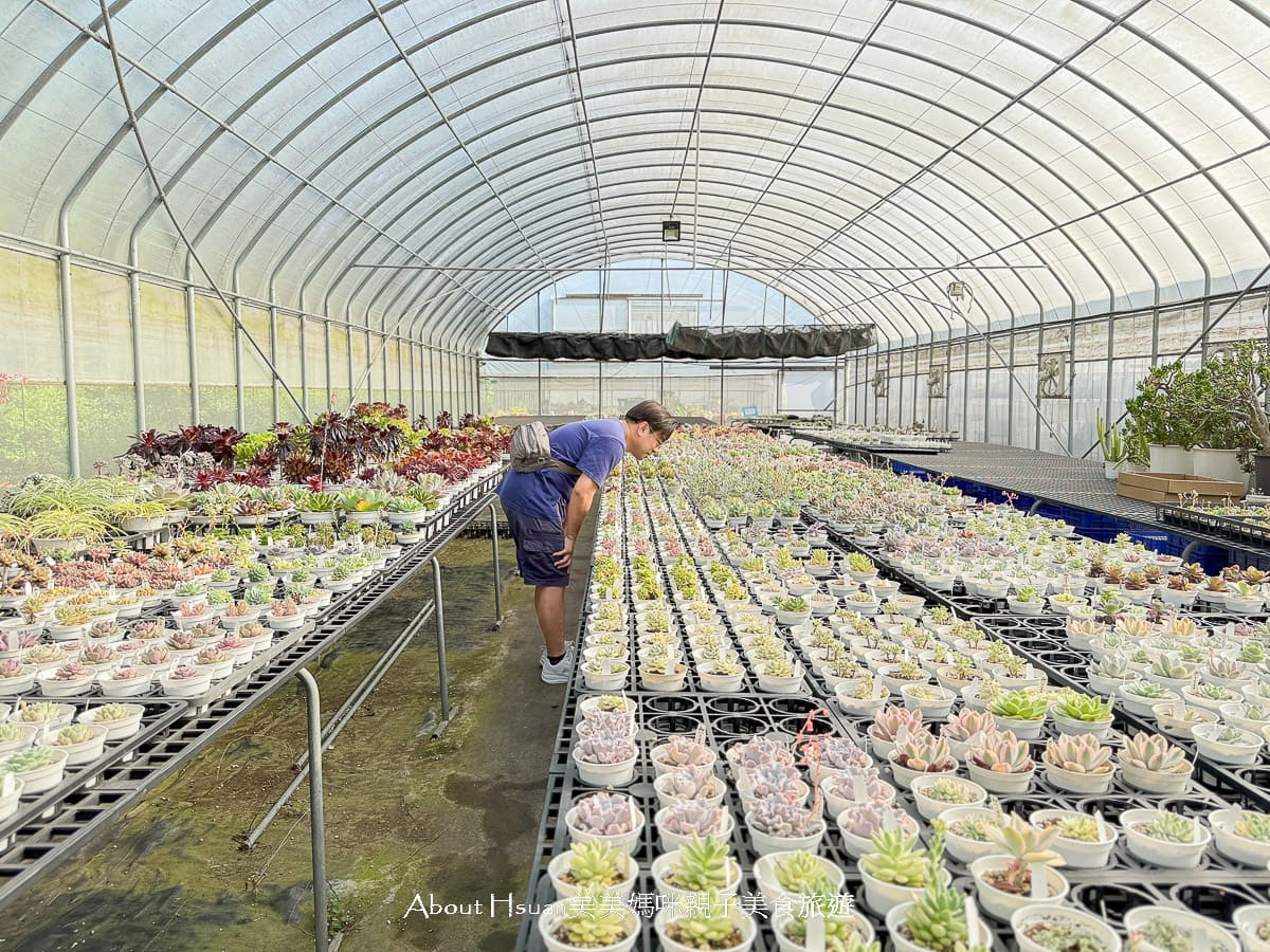 中壢果園採草莓採瓜果買多肉植物 J&#038;W多肉過嶺草莓瓜果農園 600坪高架室內草莓園不怕風吹雨淋 @About Hsuan美美媽咪親子美食旅遊