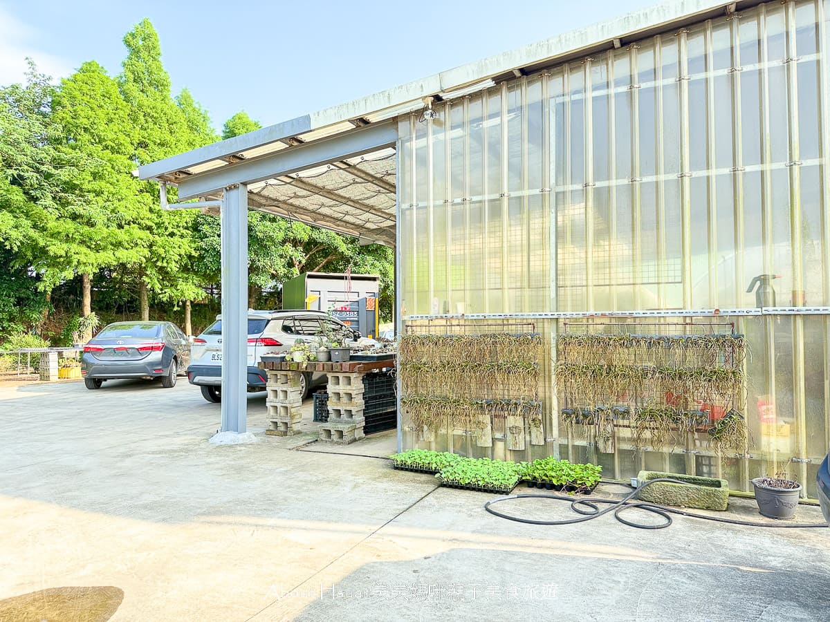 中壢果園採草莓採瓜果買多肉植物 J&#038;W多肉過嶺草莓瓜果農園 600坪高架室內草莓園不怕風吹雨淋 @About Hsuan美美媽咪親子美食旅遊