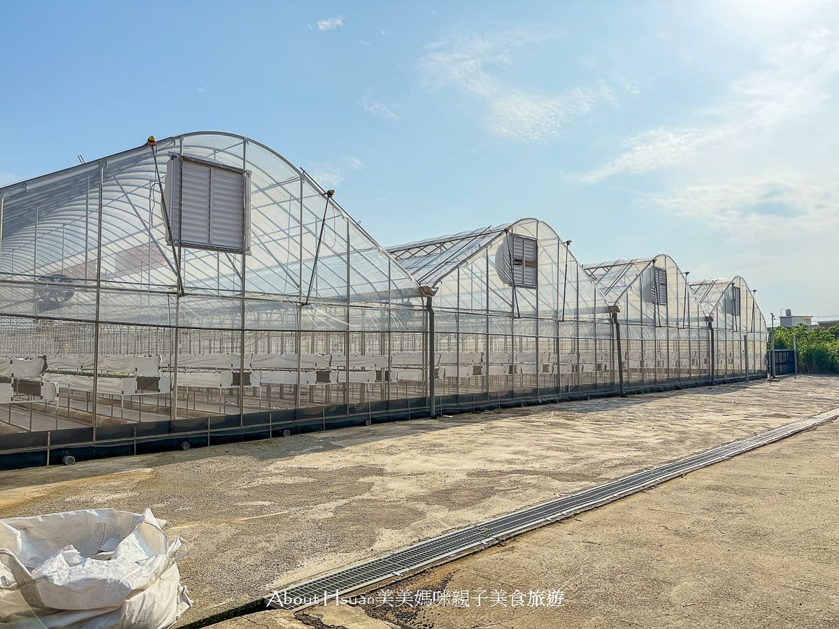 中壢果園採草莓採瓜果買多肉植物 J&#038;W多肉過嶺草莓瓜果農園 600坪高架室內草莓園不怕風吹雨淋 @About Hsuan美美媽咪親子美食旅遊