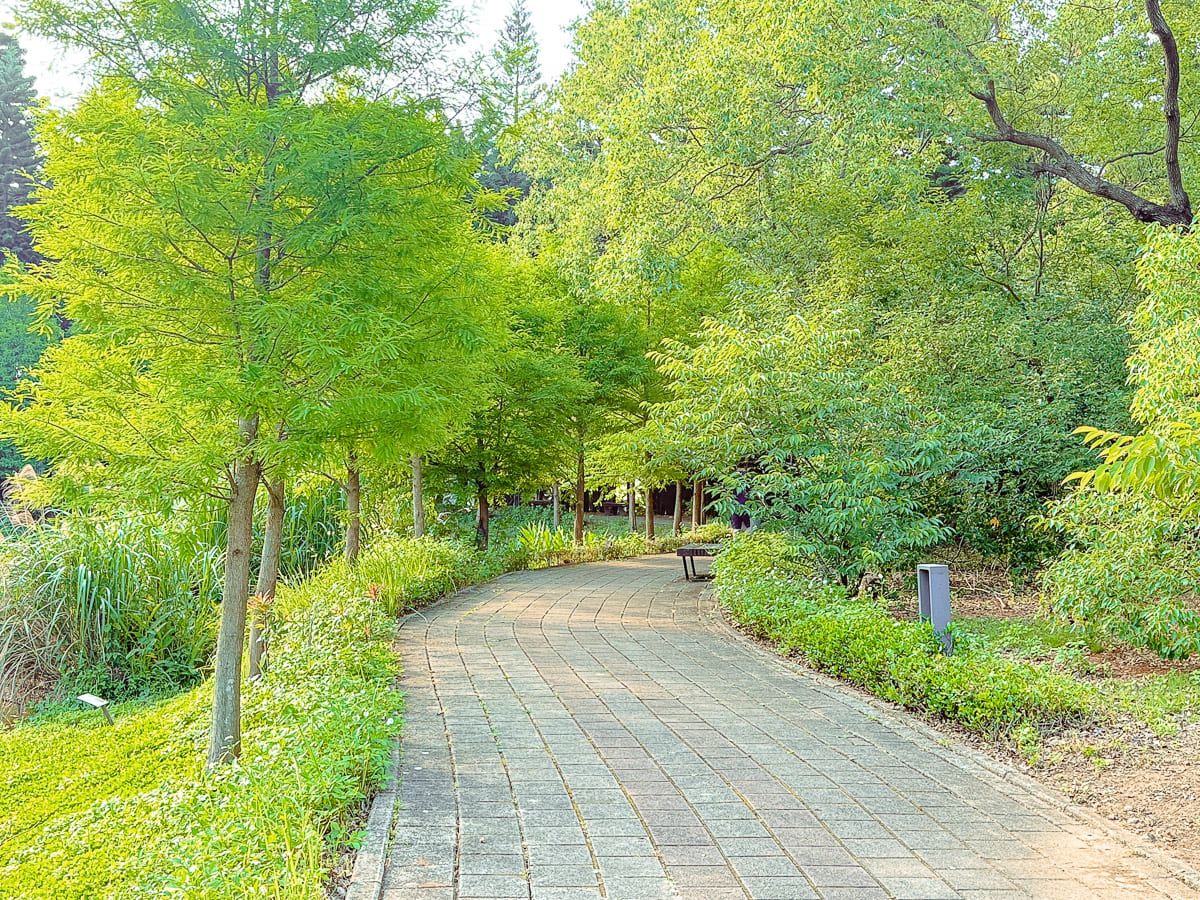 過嶺森林公園 鮮少人知的中壢秘境 四季不同的花卉植物 大片落羽松、睡蓮，生態保護池與環湖步道 彷彿來到世外桃源 @About Hsuan美美媽咪親子美食旅遊