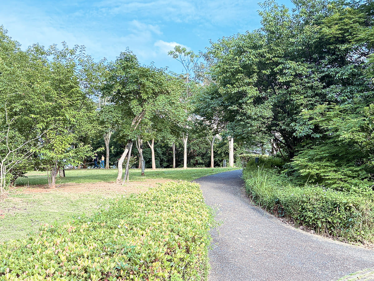 過嶺森林公園 鮮少人知的中壢秘境 四季不同的花卉植物 大片落羽松、睡蓮，生態保護池與環湖步道 彷彿來到世外桃源 @About Hsuan美美媽咪親子美食旅遊