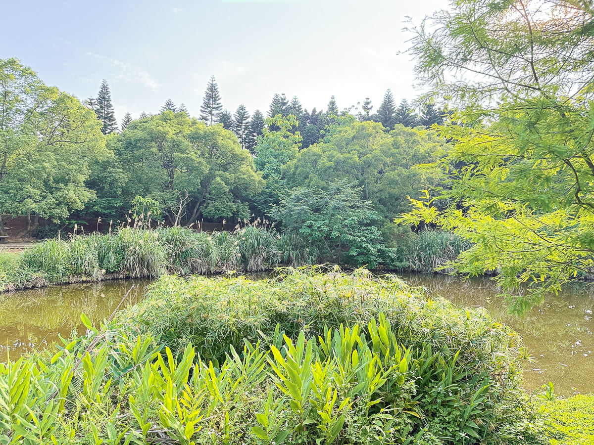 過嶺森林公園 鮮少人知的中壢秘境 四季不同的花卉植物 大片落羽松、睡蓮，生態保護池與環湖步道 彷彿來到世外桃源 @About Hsuan美美媽咪親子美食旅遊