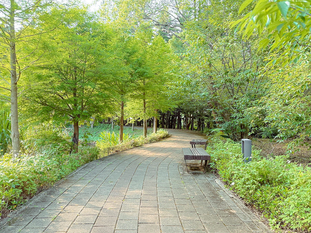 過嶺森林公園 鮮少人知的中壢秘境 四季不同的花卉植物 大片落羽松、睡蓮，生態保護池與環湖步道 彷彿來到世外桃源 @About Hsuan美美媽咪親子美食旅遊