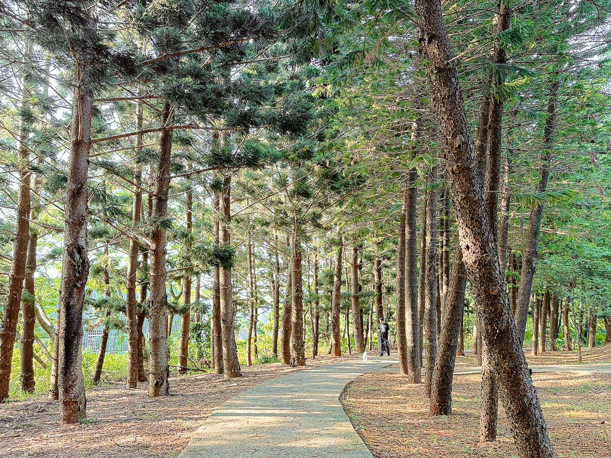 過嶺森林公園 鮮少人知的中壢秘境 四季不同的花卉植物 大片落羽松、睡蓮，生態保護池與環湖步道 彷彿來到世外桃源 @About Hsuan美美媽咪親子美食旅遊