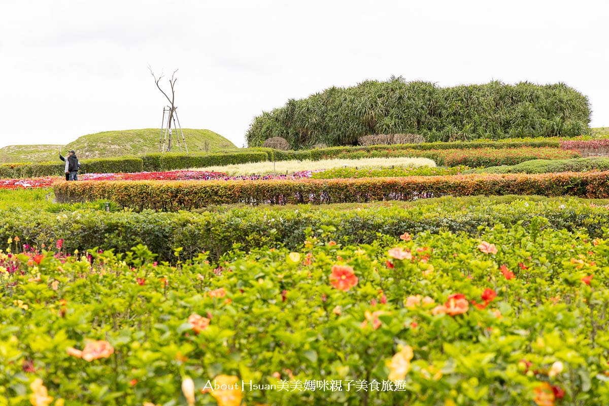 花蓮免費景點 曼波海洋生態休閒園區 曼波療癒花園與四八高地戰備坑道 可以預約導覽也能自己來探險 @About Hsuan美美媽咪親子美食旅遊