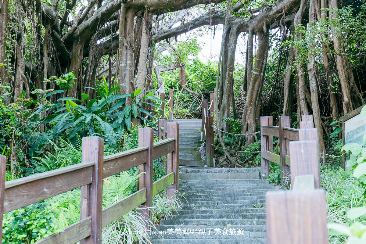 花蓮免費景點 曼波海洋生態休閒園區 曼波療癒花園與四八高地戰備坑道 可以預約導覽也能自己來探險 @About Hsuan美美媽咪親子美食旅遊