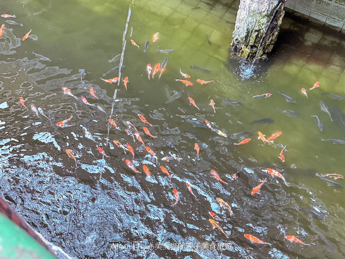 台61線景點 竹南后厝龍鳳宮  世界最大的坐身媽祖神像 廟宇內餵魚看烏龜 以及絕美中式庭園長廊造景 @About Hsuan美美媽咪親子美食旅遊