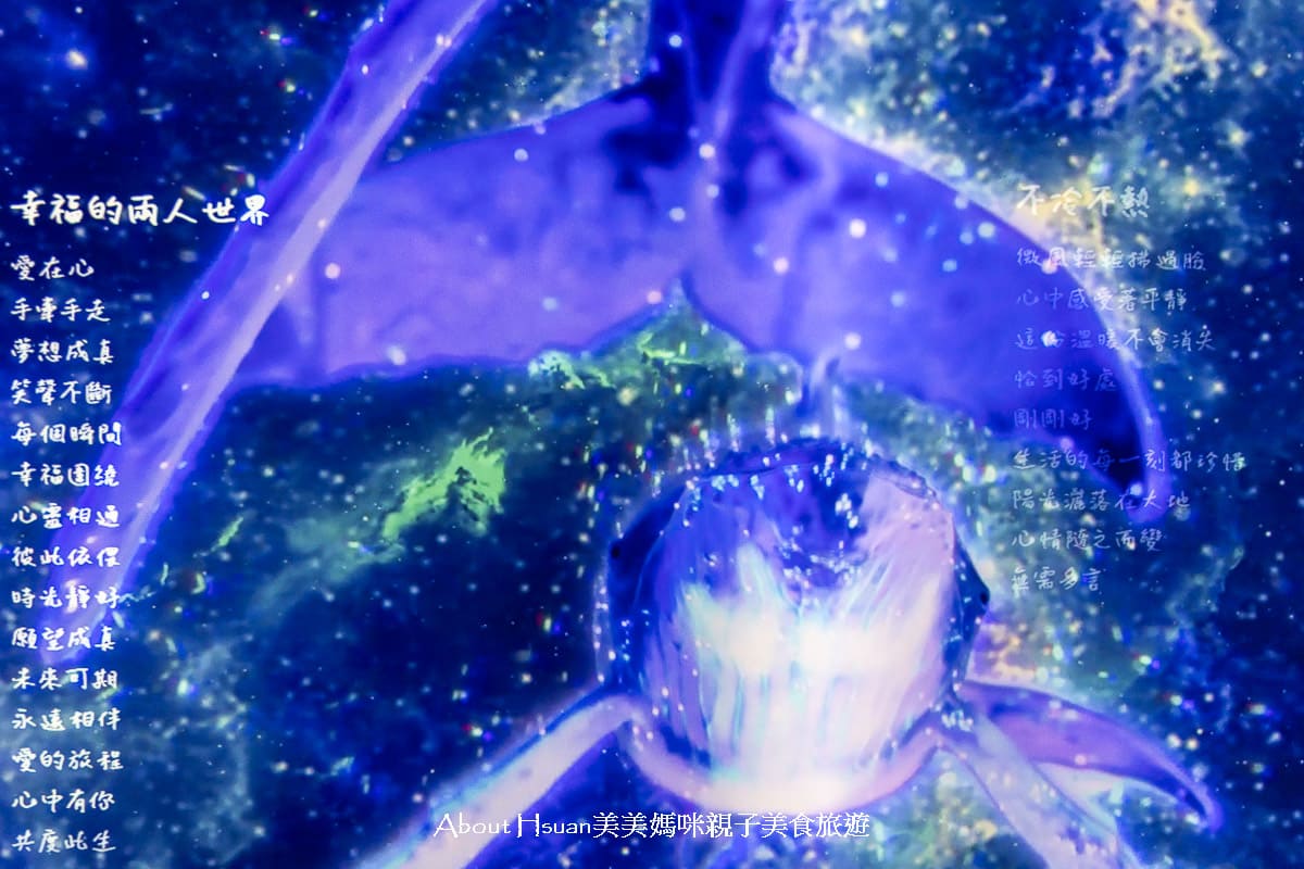 花蓮景點推薦 花蓮文化創意產業園區結合花蓮流行音樂AI實驗基地 能玩自創歌曲MV免收費 園區大有綠地 建築好美還常有免費展覽 @About Hsuan美美媽咪親子美食旅遊