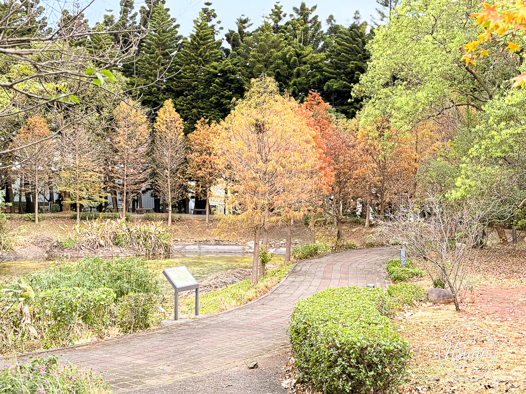 中壢過嶺森林公園 隱藏版免費秘境！有四季花海、落羽松、寵物友善步道，靠近南方莊園與草莓果園 @About Hsuan美美媽咪親子美食旅遊