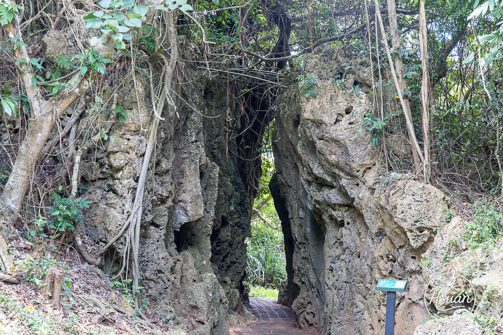 墾丁深度遊必訪-社頂自然公園 洞穴、海洋、自然生態全攻略 遊客少能充分享受秘境感 怕走路的不要來 @About Hsuan美美媽咪親子美食旅遊