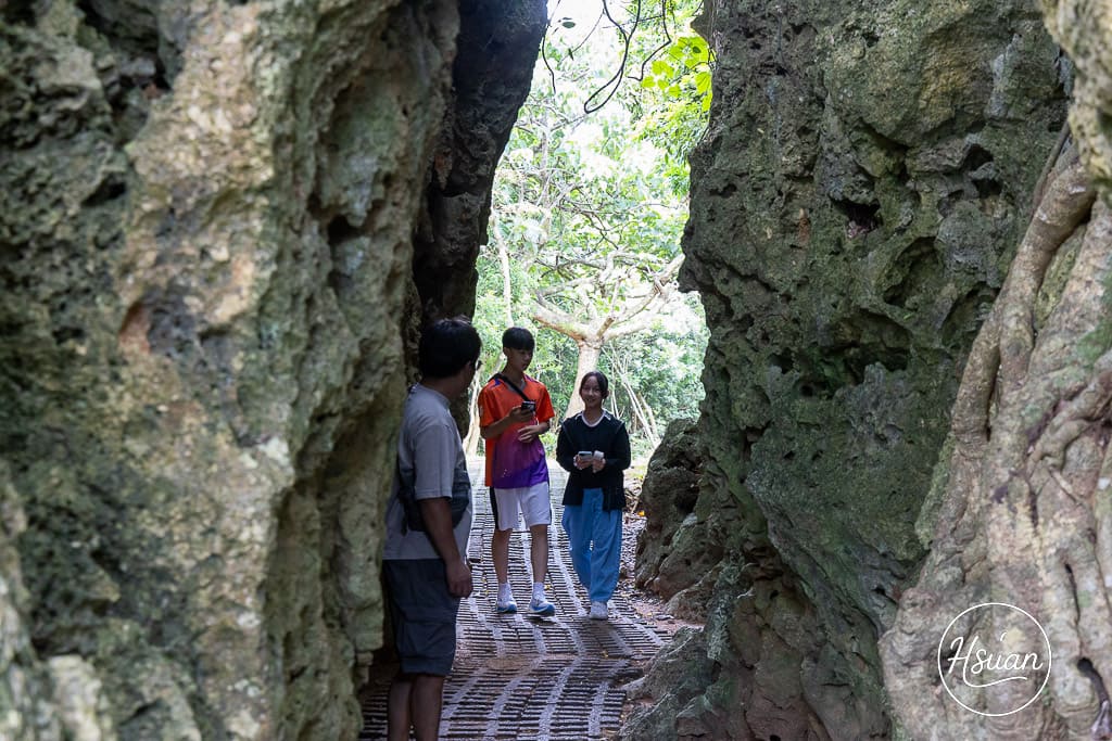 墾丁深度遊必訪-社頂自然公園 洞穴、海洋、自然生態全攻略 遊客少能充分享受秘境感 怕走路的不要來 @About Hsuan美美媽咪親子美食旅遊
