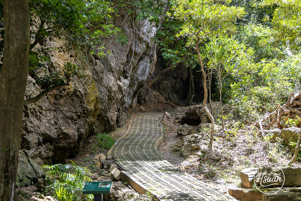 墾丁深度遊必訪-社頂自然公園 洞穴、海洋、自然生態全攻略 遊客少能充分享受秘境感 怕走路的不要來 @About Hsuan美美媽咪親子美食旅遊