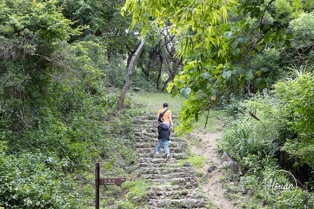 墾丁深度遊必訪-社頂自然公園 洞穴、海洋、自然生態全攻略 遊客少能充分享受秘境感 怕走路的不要來 @About Hsuan美美媽咪親子美食旅遊