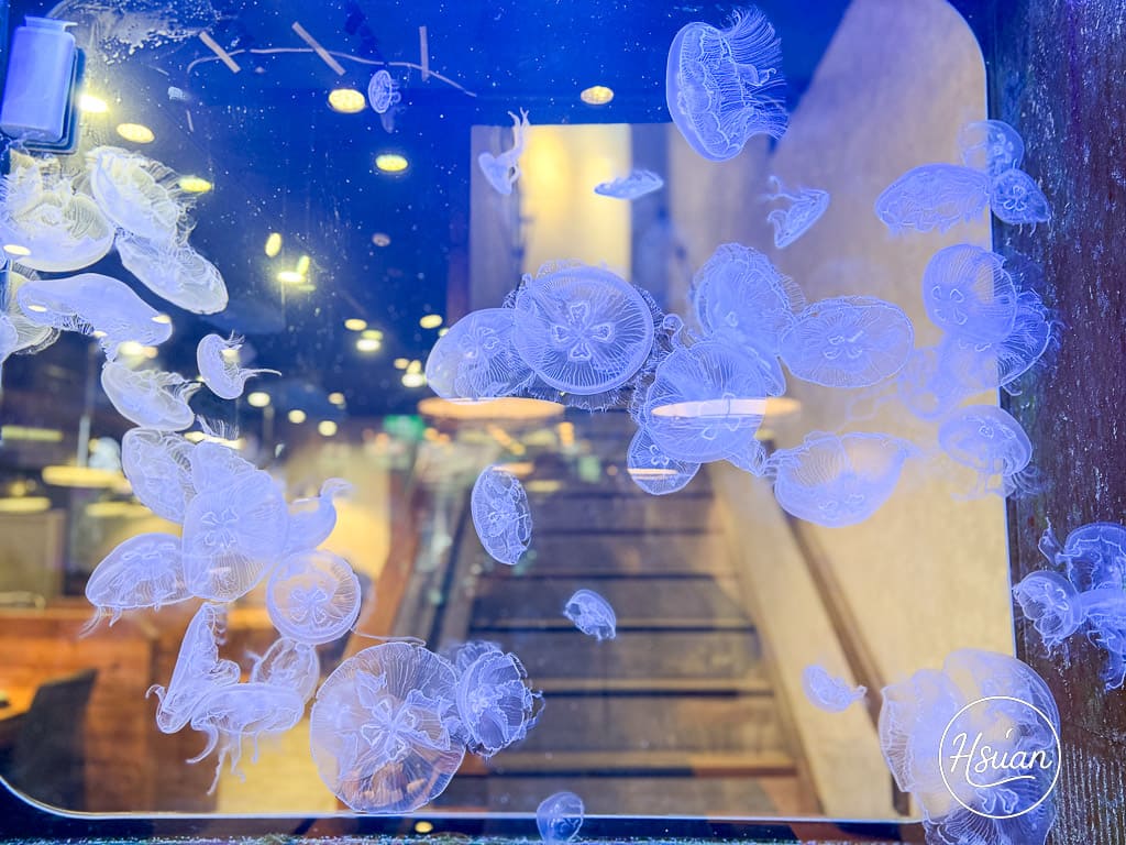 海牧鍋物三重店|驚爆199元厚切生魚片!高CP值海鮮鍋、肉品、親子友善三重火鍋推薦 @About Hsuan美美媽咪親子美食旅遊 海牧鍋物三重店|驚爆199元厚切生魚片!高CP值海鮮鍋、肉品、親子友善三重火鍋推薦 @About Hsuan美美媽咪親子美食旅遊