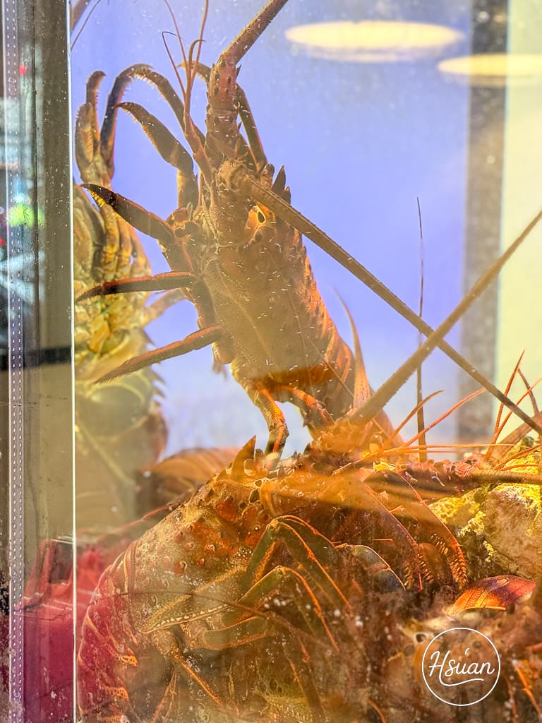 海牧鍋物三重店|驚爆199元厚切生魚片!高CP值海鮮鍋、肉品、親子友善三重火鍋推薦 @About Hsuan美美媽咪親子美食旅遊 海牧鍋物三重店|驚爆199元厚切生魚片!高CP值海鮮鍋、肉品、親子友善三重火鍋推薦 @About Hsuan美美媽咪親子美食旅遊