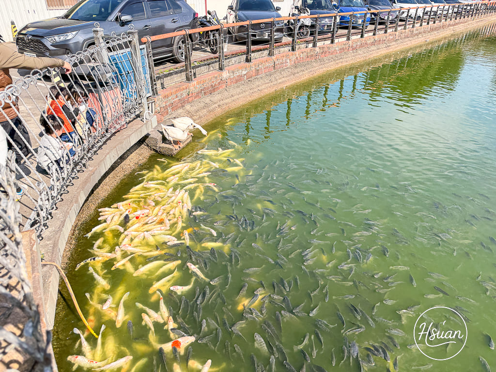 中壢平鎮聚餐首選 台灣番鴨園區金陵店 臉盆薑母鴨霸氣上桌，雞油拌飯、麵線吃到飽，還有大魚池溜滑梯可以玩耍 @About Hsuan美美媽咪親子美食旅遊