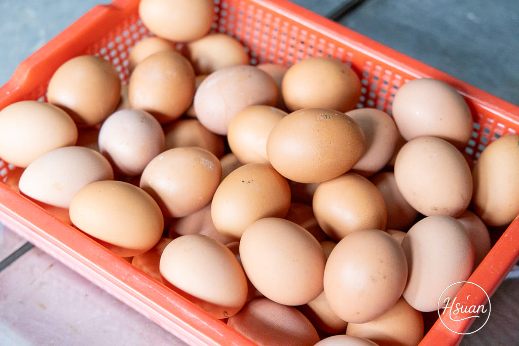 【桃園深度旅遊】大園、蘆竹到觀音：隱藏版美食與療癒手作地圖！在地人帶路20+私藏名單全公開 @About Hsuan美美媽咪親子美食旅遊