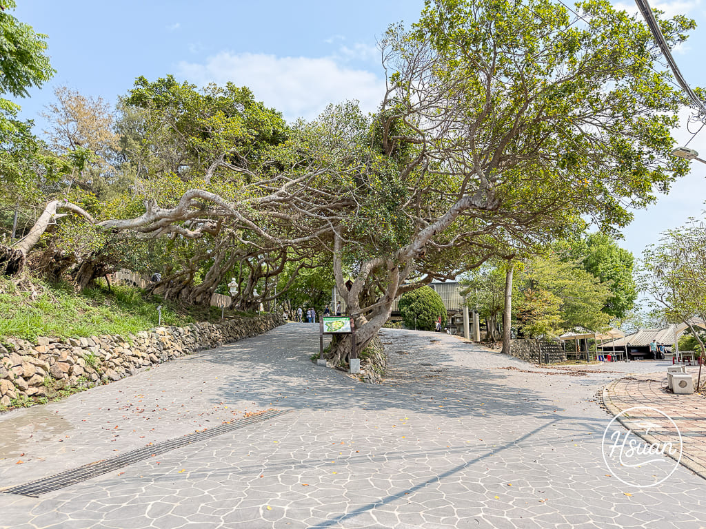 【苗栗通霄景點】通霄神社全新修復開放！台61線景點推薦，走入日式燈籠參道與虎頭山絕美海景，順遊裕芳食品採買50元平價零嘴 @About Hsuan美美媽咪親子美食旅遊