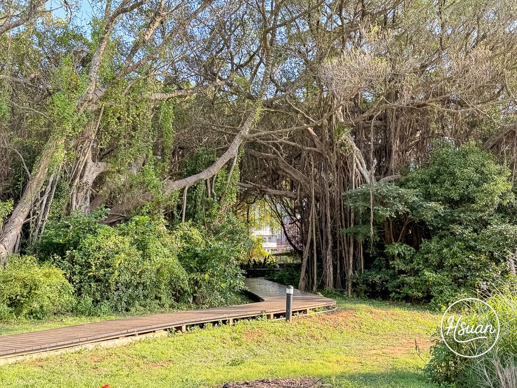 桃園觀音景點推薦!免門票、超寬敞的翠綠大草皮,還有神祕台版吳哥窟廢墟,7月限定獨角仙季開跑,帶長輩親子一日遊超完美! 桃園觀音景點推薦!免門票、超寬敞的翠綠大草皮,還有神祕台版吳哥窟廢墟,7月限定獨角仙季開跑,帶長輩親子一日遊超完美!