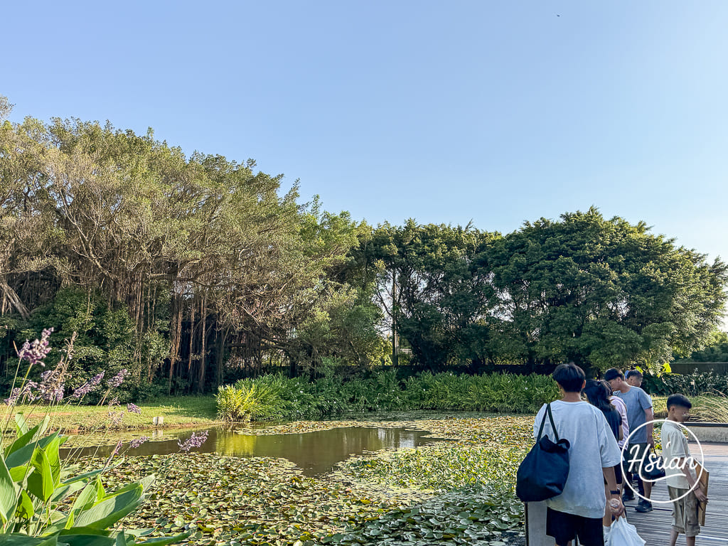 桃園觀音景點推薦！免門票、超寬敞的翠綠大草皮，還有神祕台版吳哥窟廢墟，7月限定獨角仙季開跑，帶長輩親子一日遊超完美！