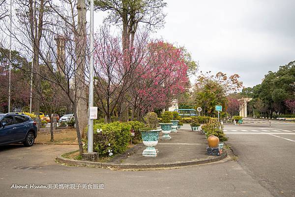 桃園賞櫻秘境 桃園觀光酒廠櫻花正盛開更是親子遊玩的好景點 @About Hsuan美美媽咪親子美食旅遊